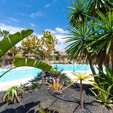 شقة Laspalmasapartment كوراليهو