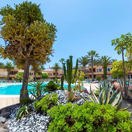 شقة Laspalmasapartment