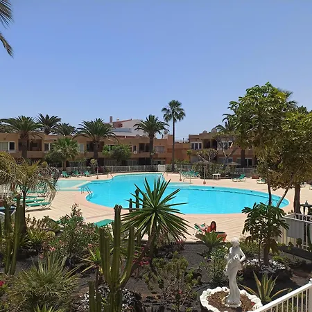 Palmas