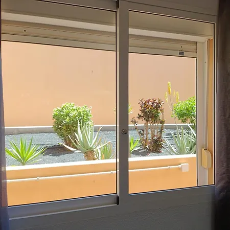 Laspalmasapartment * كوراليهو