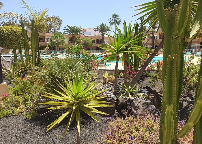 Laspalmasapartment شقة